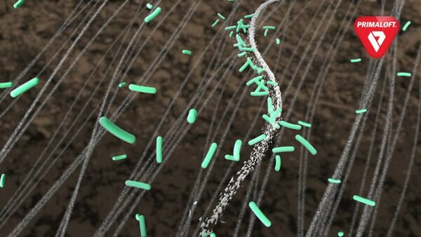 垃圾掩埋場中分解 Primaloft 纖維的微生物