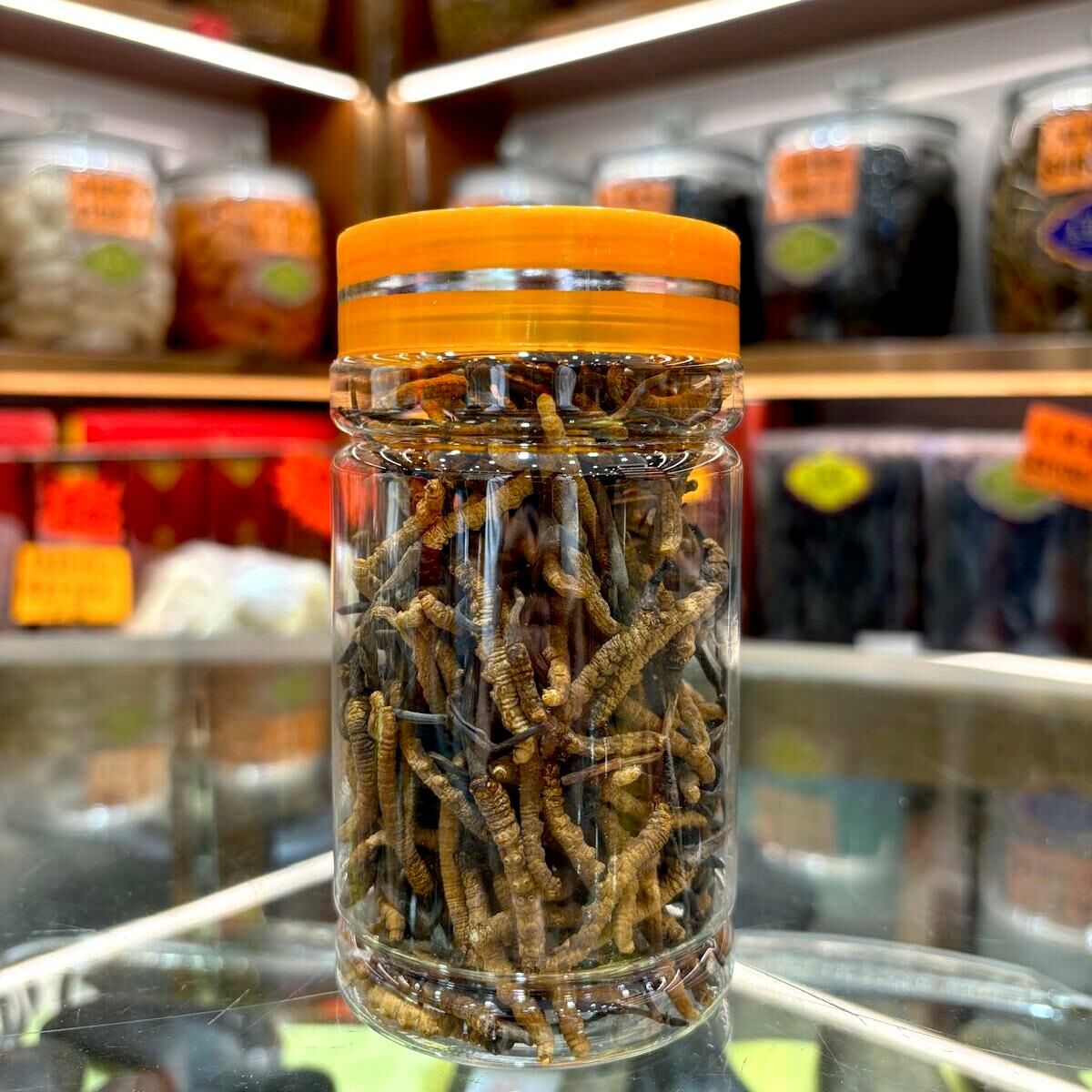 西藏野生冬蟲夏草A180 37.5g  ( 約180-200 條 )