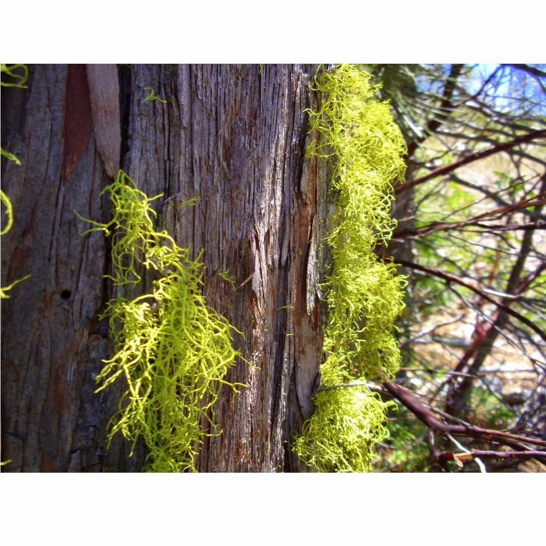 DTSL_Komax Kodak PIXPRO FZ55 Digital Camera_Sample 5