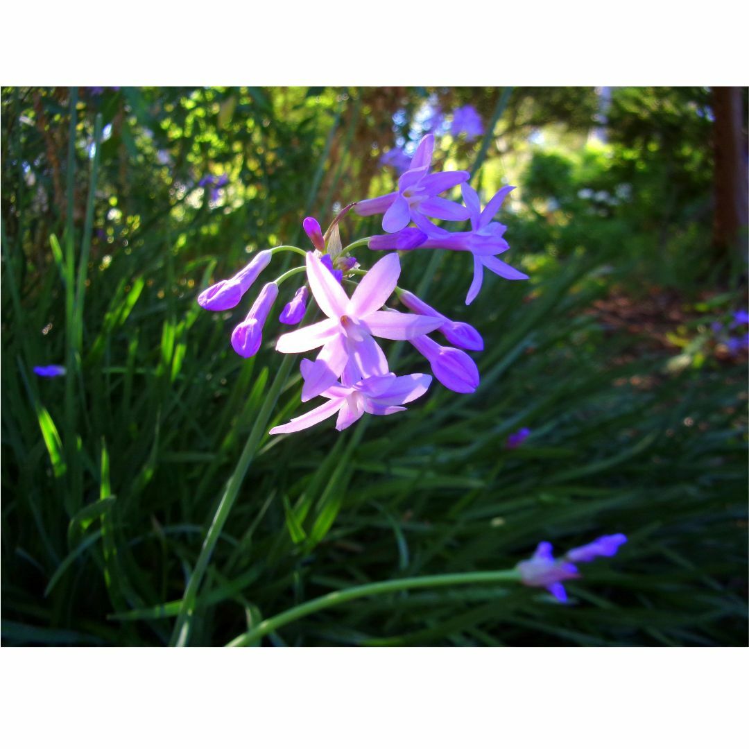 DTSL_Komax Kodak PIXPRO FZ55 Digital Camera_Sample 7