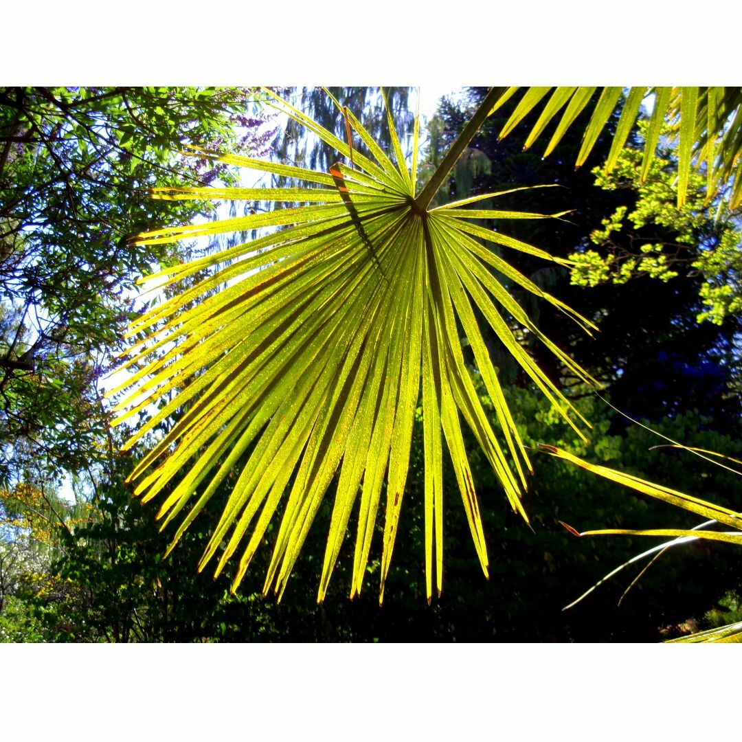 DTSL_Komax Kodak PIXPRO FZ55 Digital Camera_Sample 11