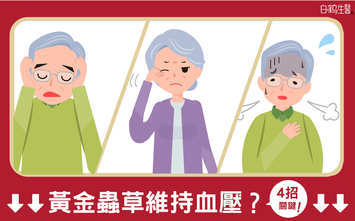 黃金蟲草也能維持血壓？你一定要知道的4大關鍵