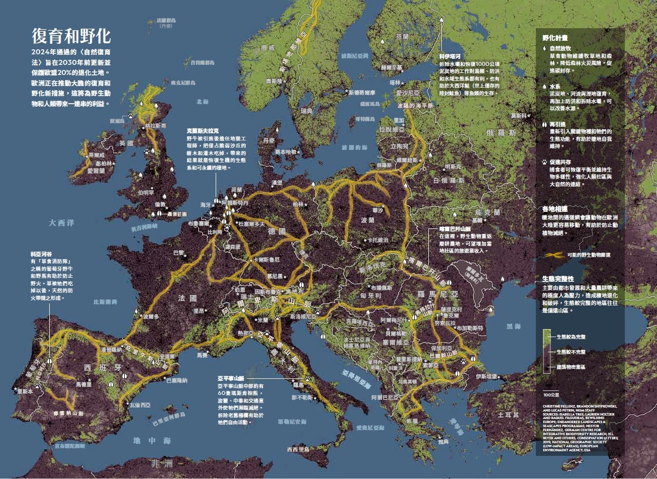 國家地理雜誌276》2024年11月AI世紀革命從醫學、考古、太空探索到動物