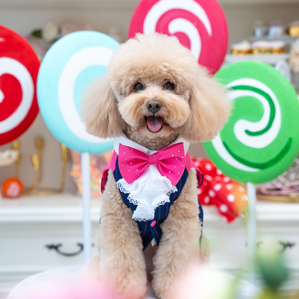 【S~3XL】Rose Red Waistcoat