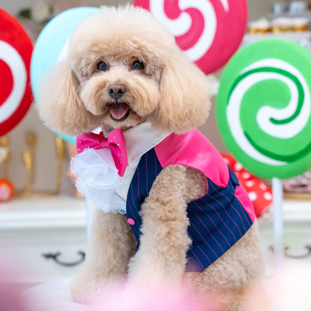 【S~3XL】Rose Red Waistcoat