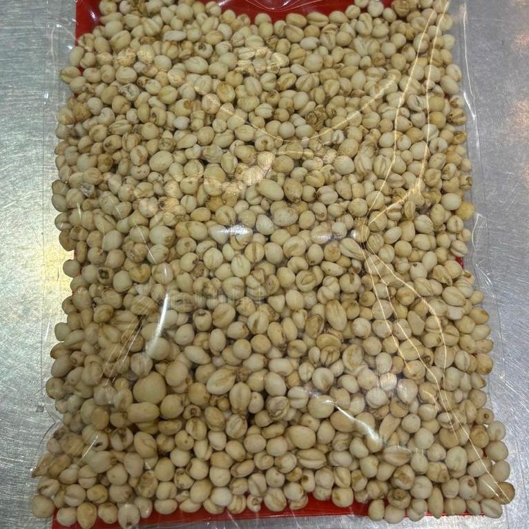 平貝母0.1 LCBP1(約75g)