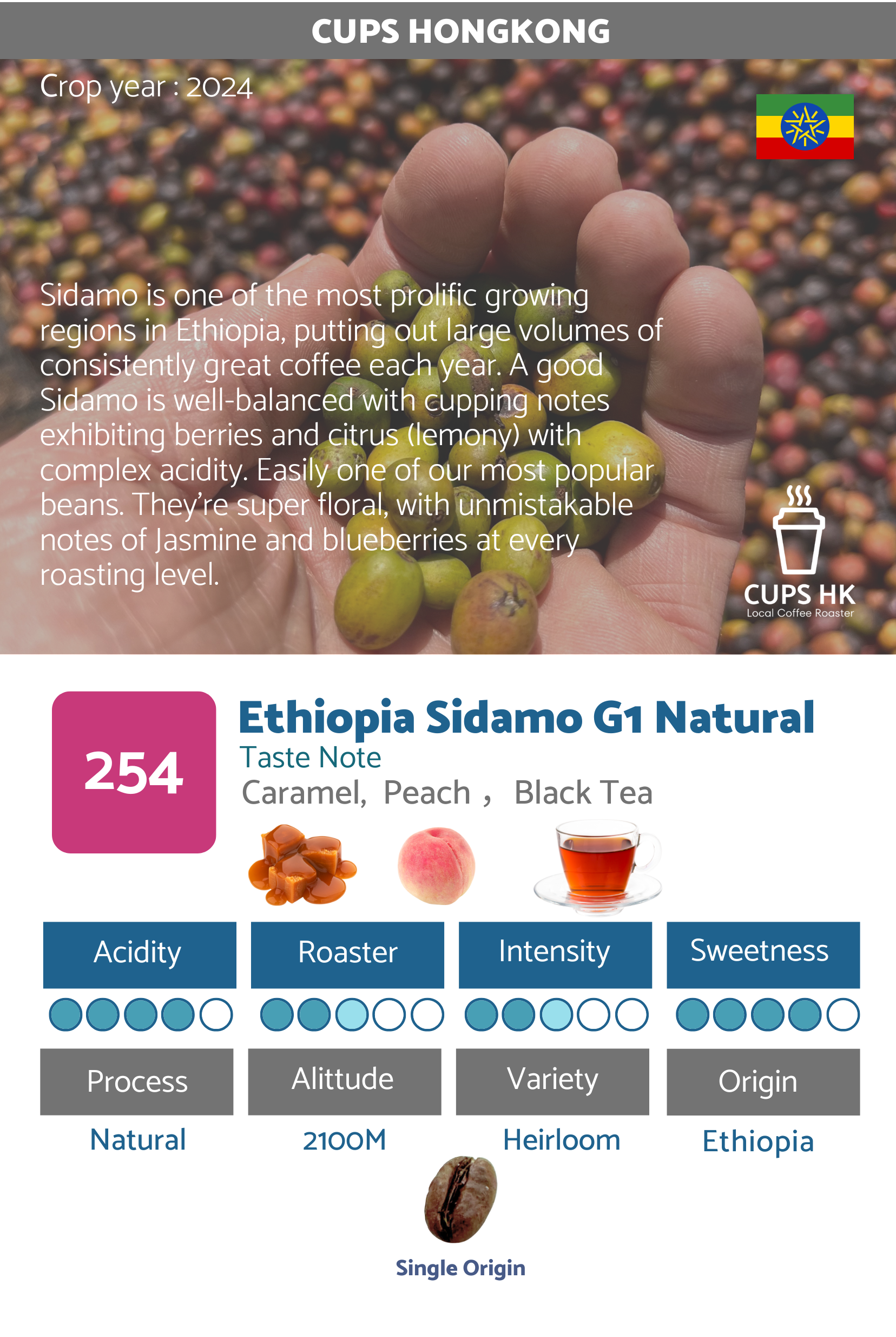 254 : Ethiopia Sidamo G1 Natural 衣索比亞聖達摩日曬