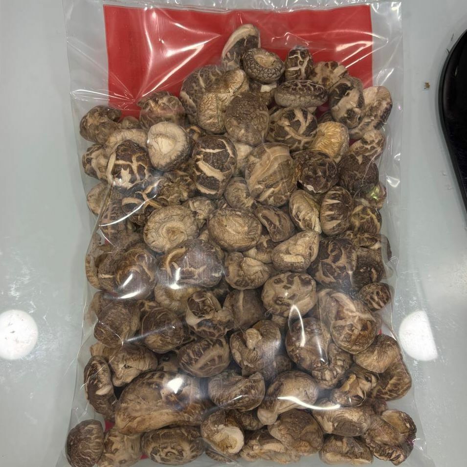 白花菇 LFKYMNTAA3 (約300g)