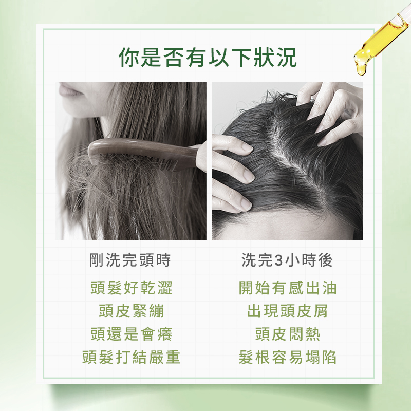 DREAM TREND 凱夢 葵荋雅 可可殼髮根強化洗髮精 頭皮調理 養髮 抗屑洗髮精 500ml 【AG035】