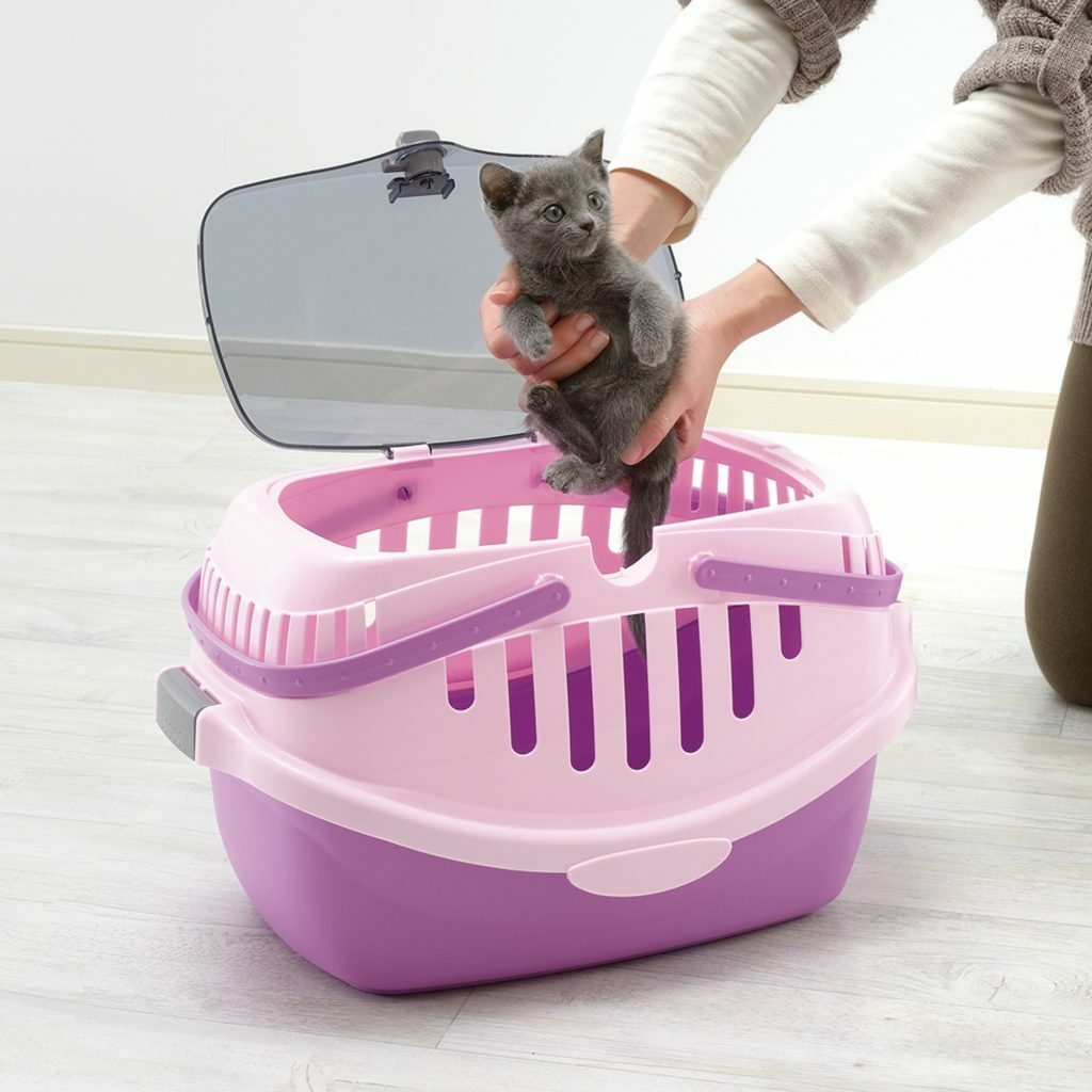 Richell Small Animal Carrier (Purple) ~5kg