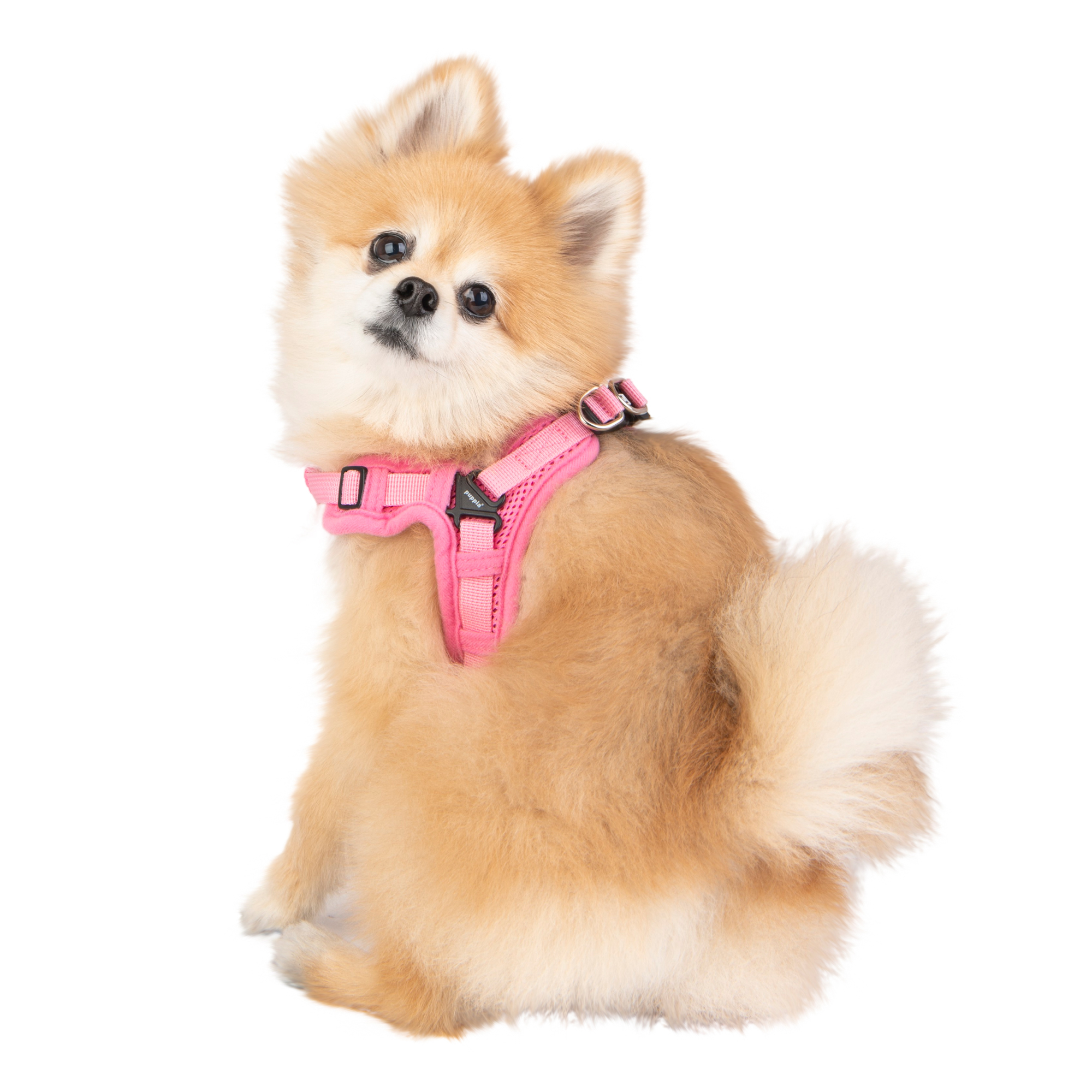 PUPPIA 輕便透氣柔軟背心X款 HX1917 天藍色 (L)