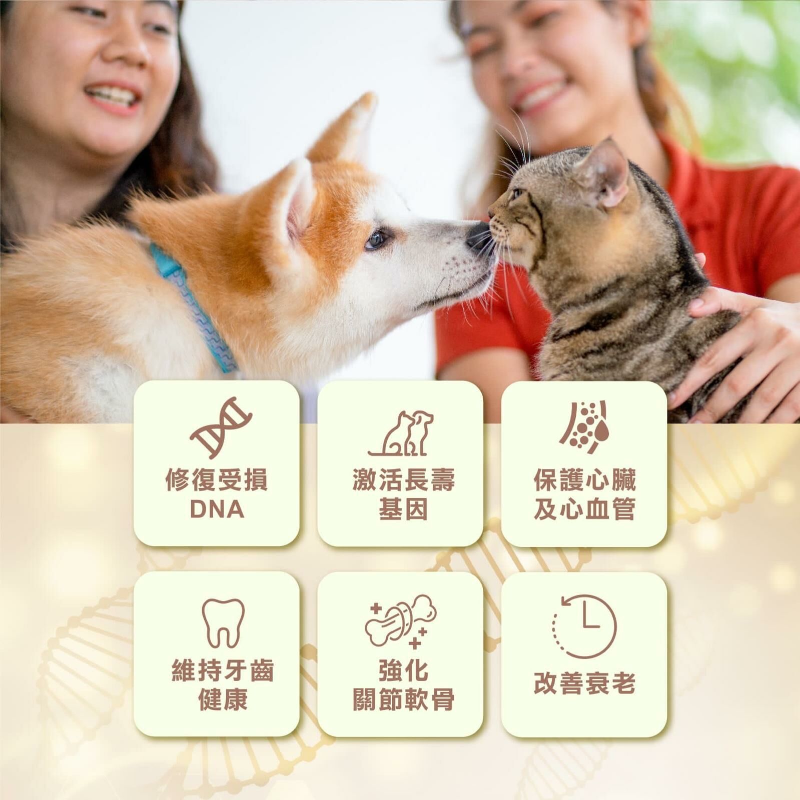 Petto Origin NMN for pets 30 capsules