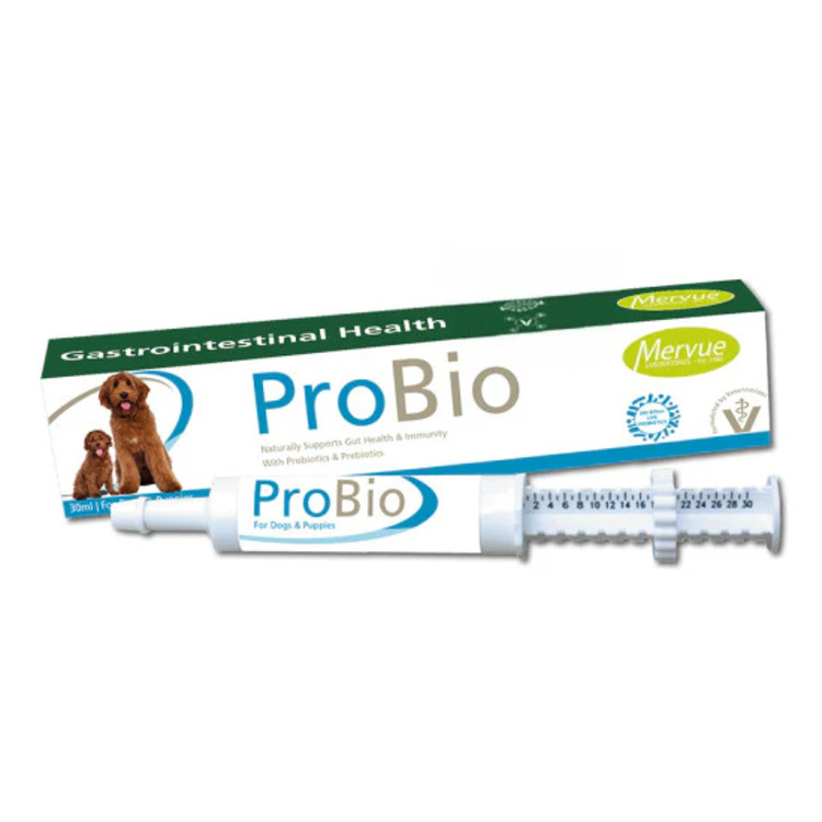 Mervue ProBio Paste for dogs 30ml