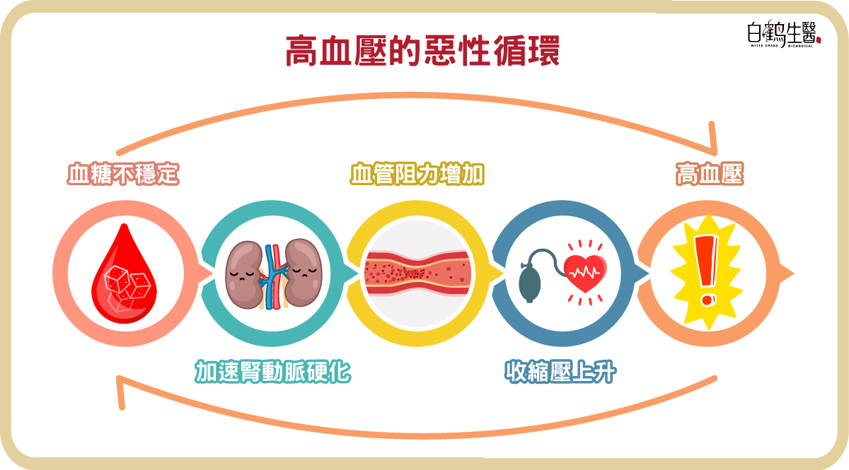 高血壓的惡性循環