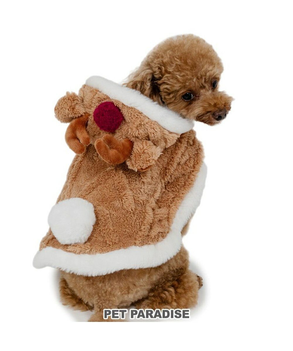 [Pet Paradise] Christmas <633-29725>