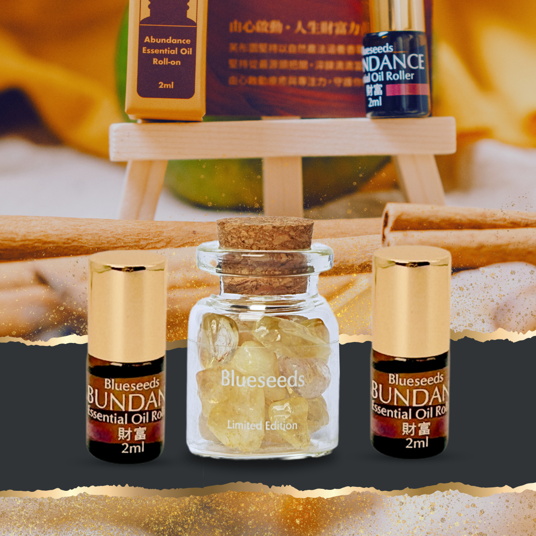 【財富與幸運】招人氣聚財能量組 3+1禮盒 ｜ 開拓新客源 x 助力事業運