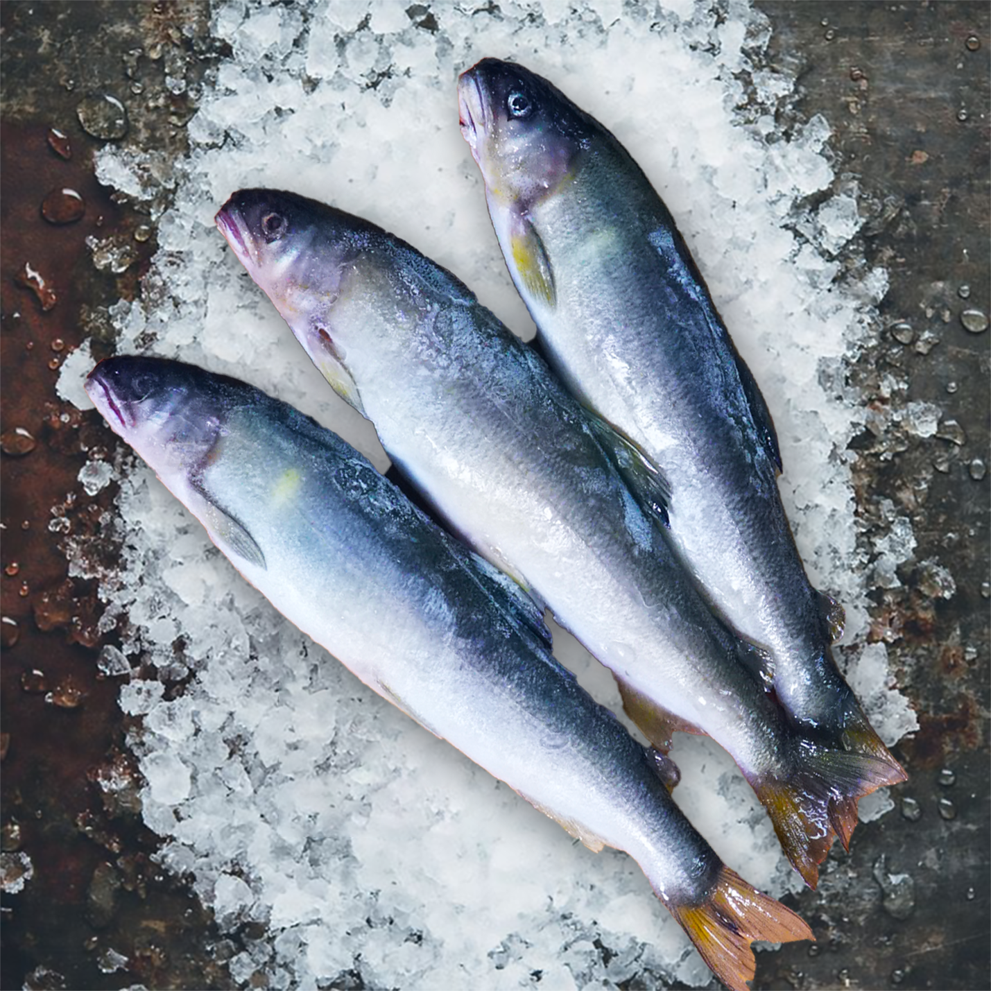 嚴選宜蘭公香魚900g±15g(約12隻)