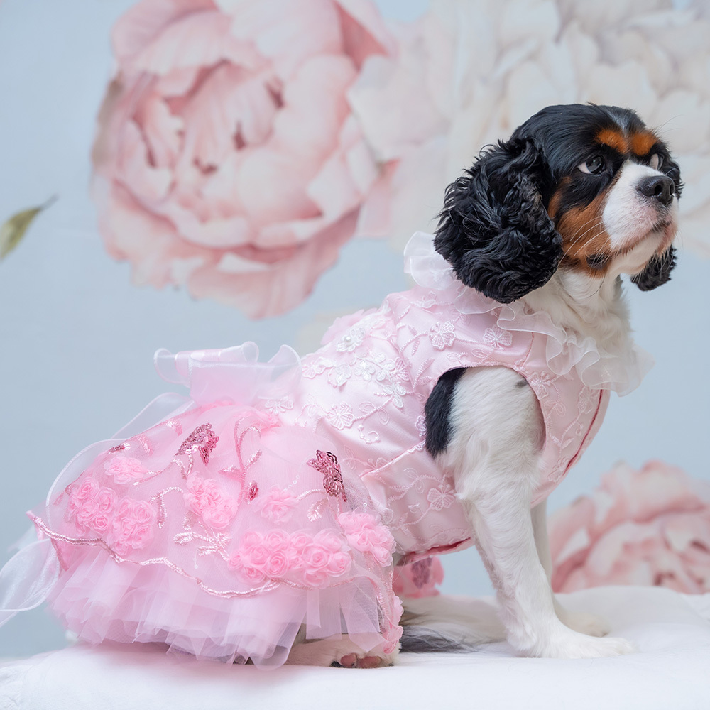 Pink Flower Big Bow Dress