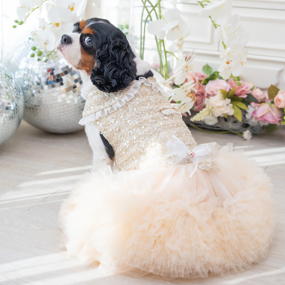 Champagne Tweed Dress