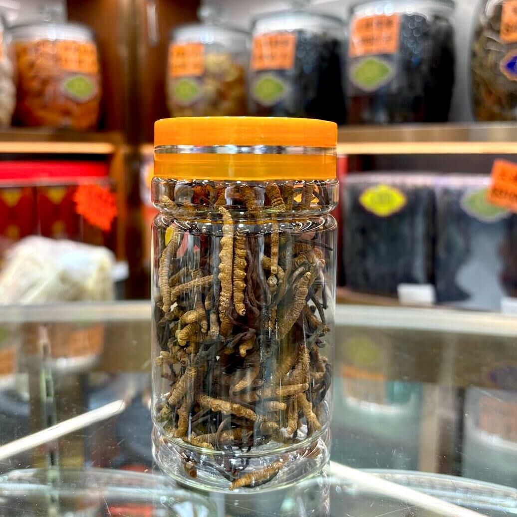 西藏野生冬蟲夏草A140 37.5g (約140-160 條)