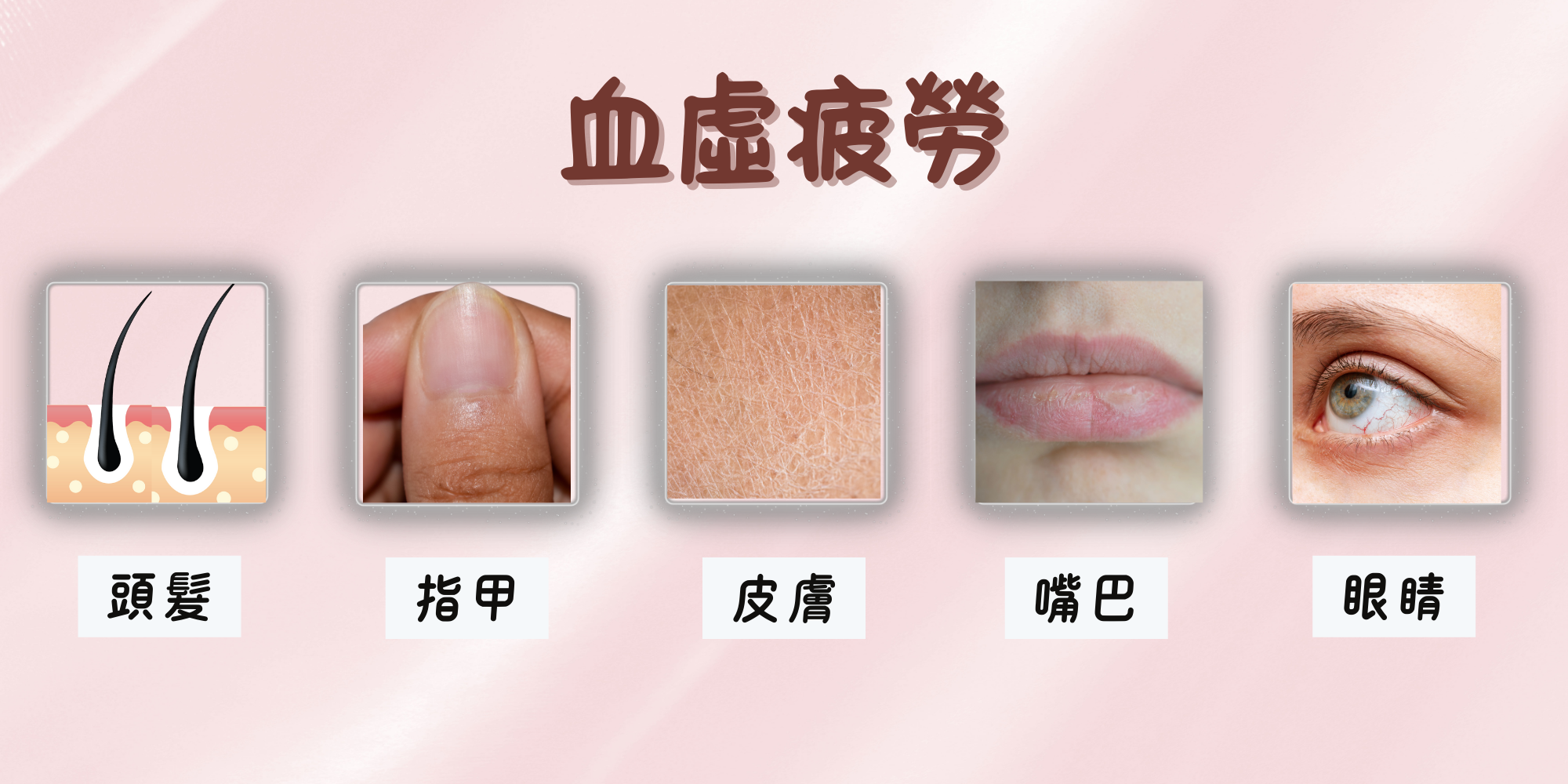 合田健康守護合田元氣補精