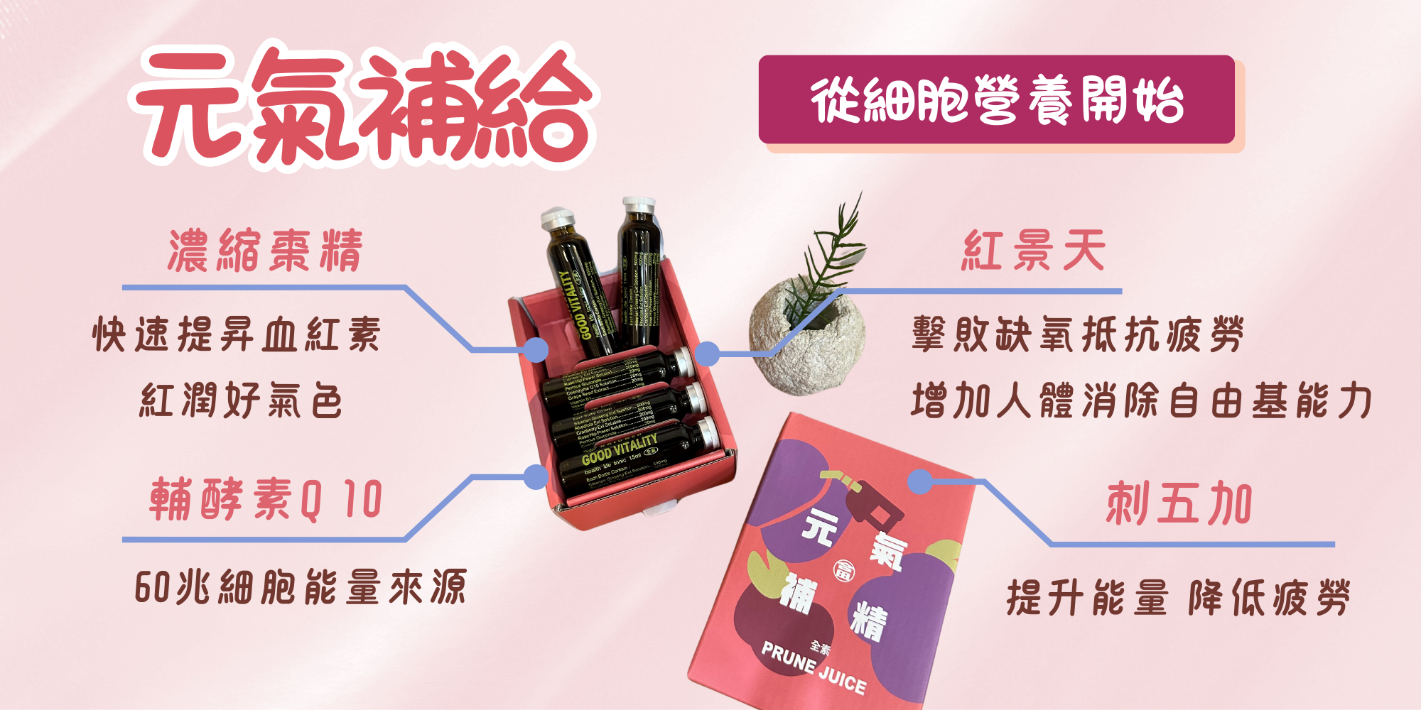 合田健康守護合田元氣補精