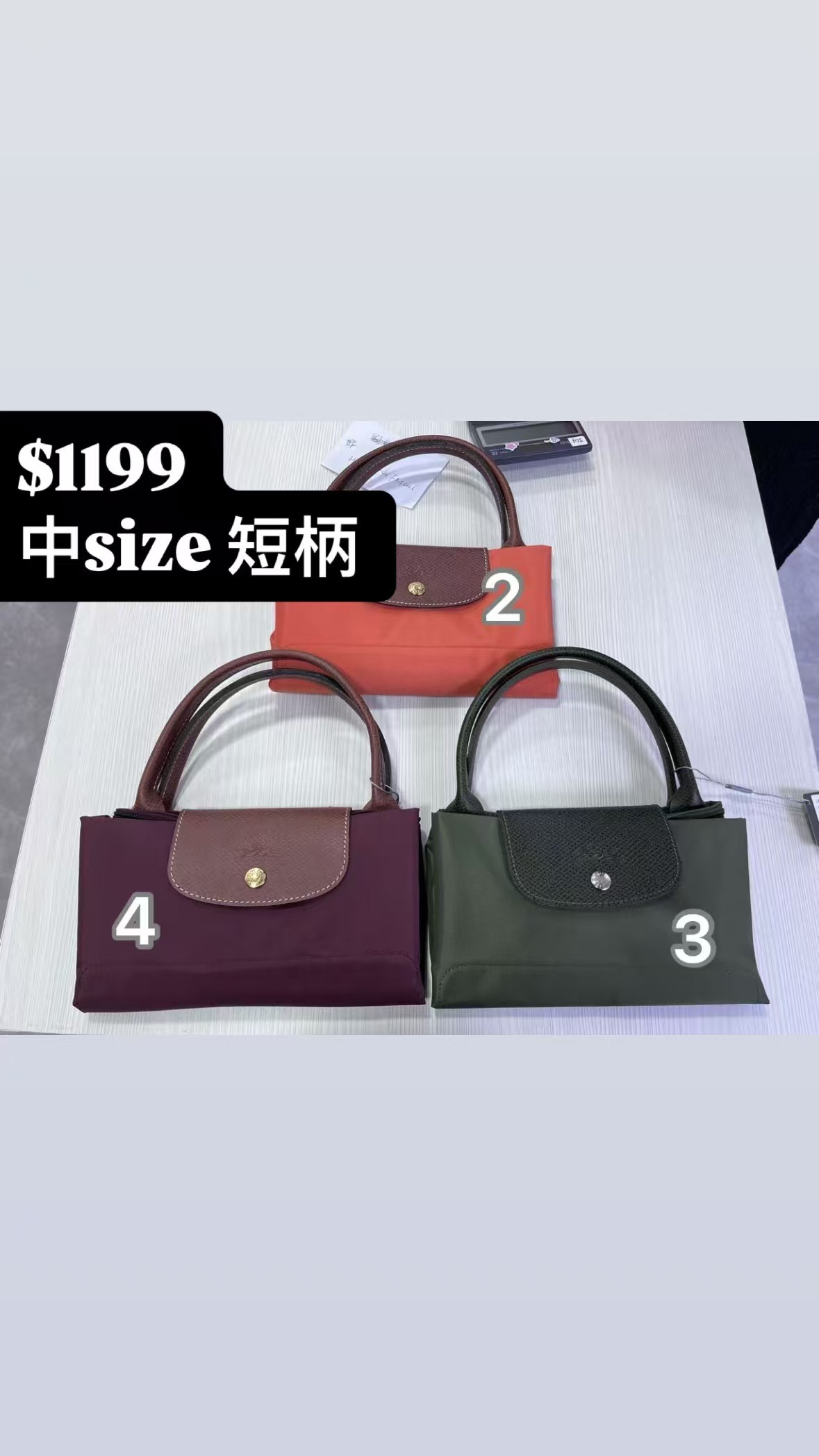 LONGCHAMP 中SIZE短柄手提包-T