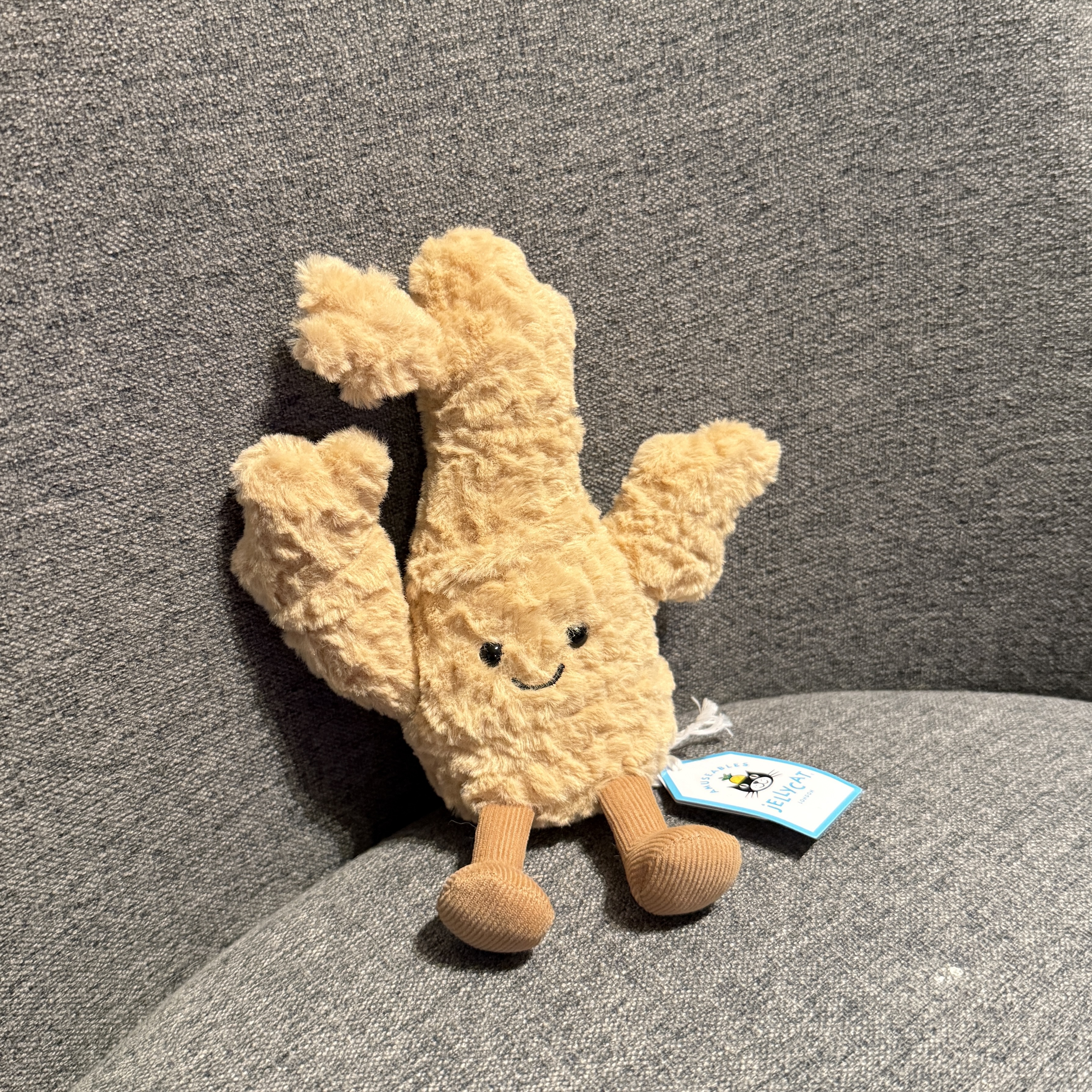 ［美國現貨］Jellycat Amuseables Ginger