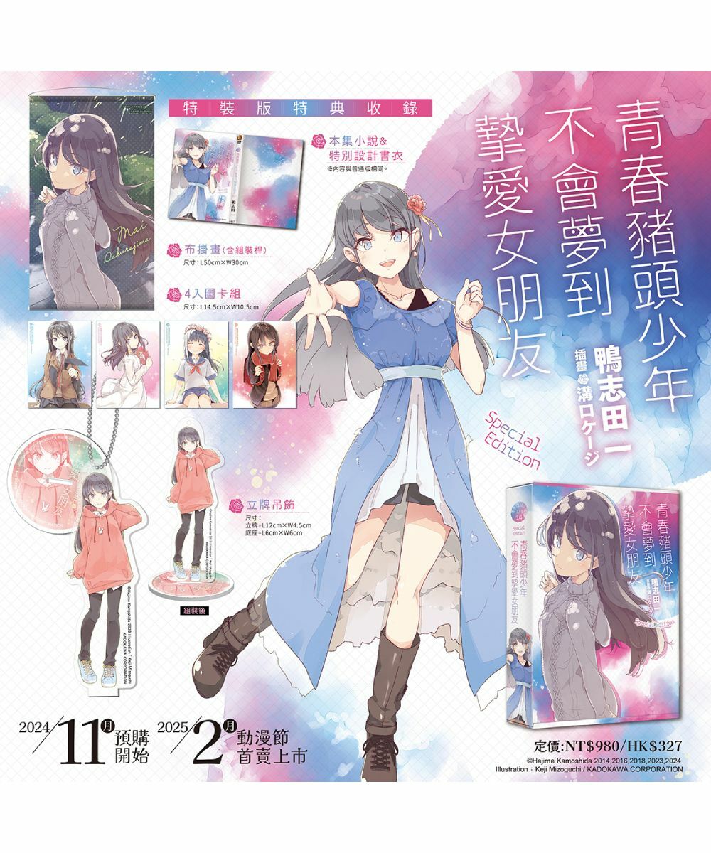 青春豬頭少年不會夢到摯愛女朋友 青春豬頭少年系列 (14) （特裝版）【2025年2月上旬出貨】