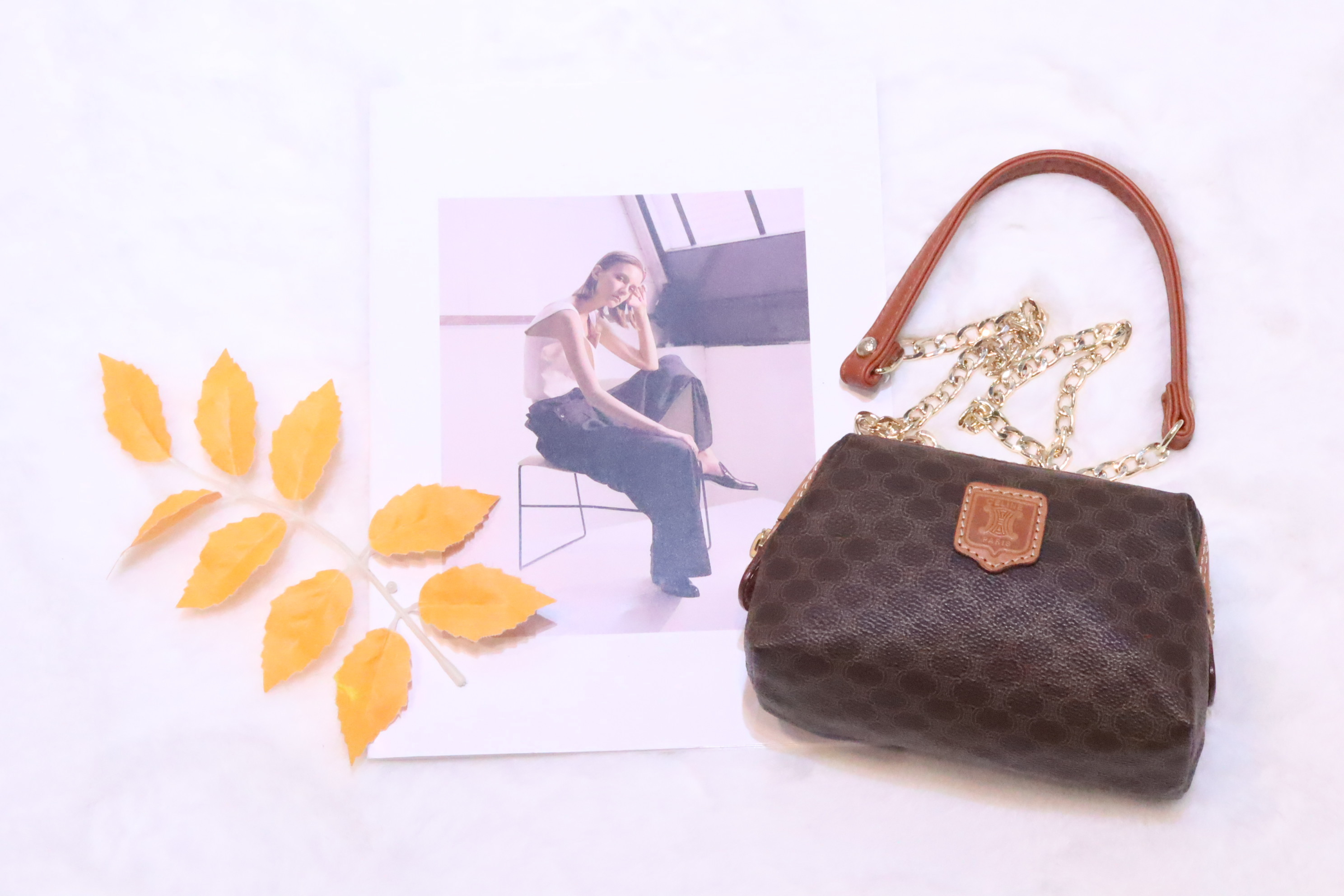 Celine mini pouch 🤎