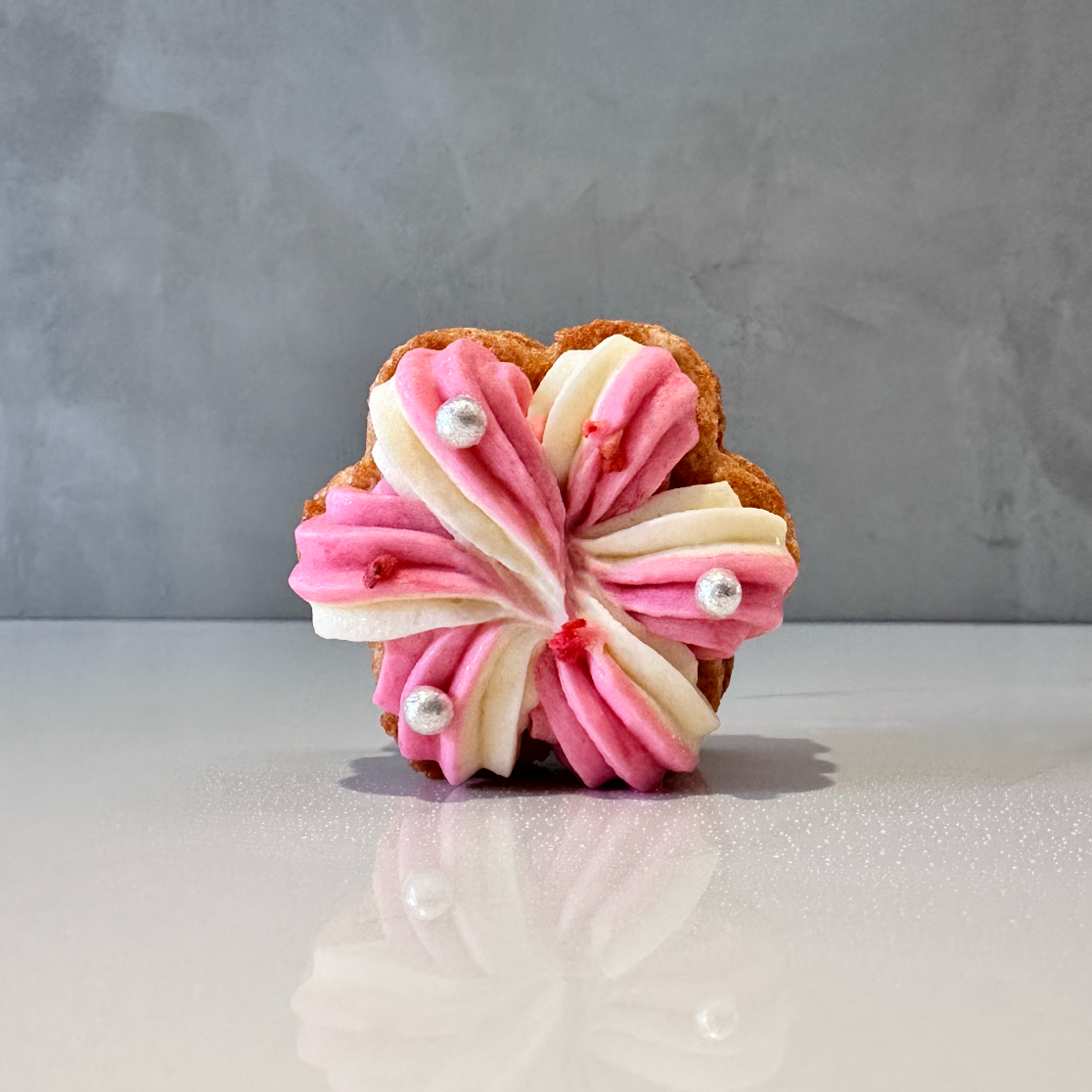 椛．養樂多達達 (預購)