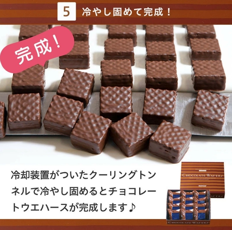 日本製ROYCE榛子奶油威化餅禮盒12入 新年團