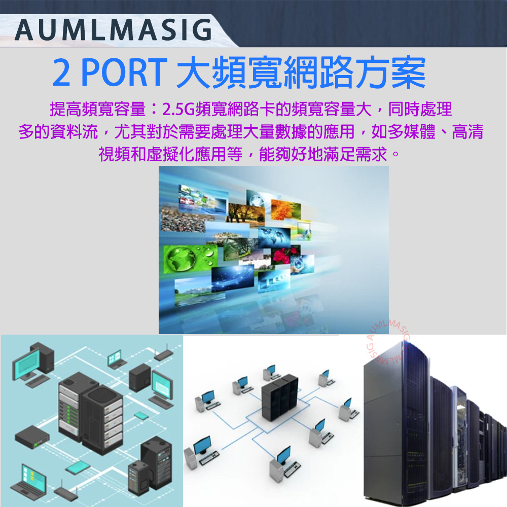AUMLMASIG 2.5GBPS 2 PORT 網路卡 2 PORT Ethernet Adapters  2 連接埠 RJ-45插槽  REALTEK網路雙顆晶片組成匯流排