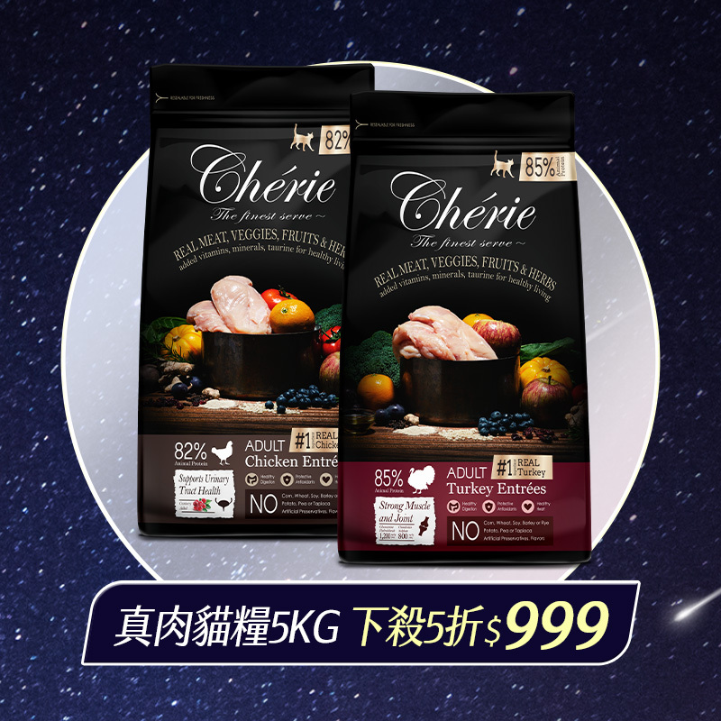 Nov-special-banner-2024