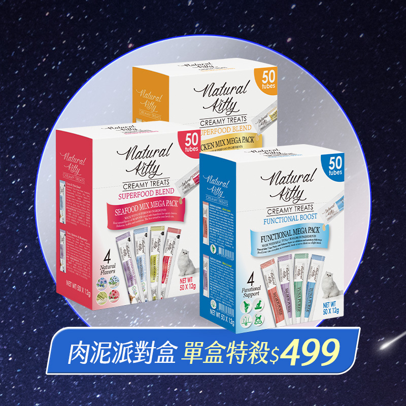 nov-special-banner-2024