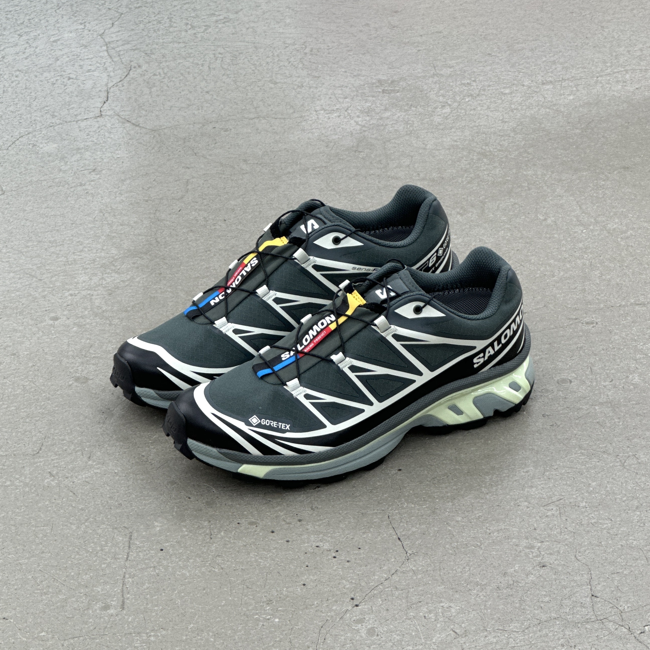 Salomon Advanced XT-6 GTX Urban Chic l 475813