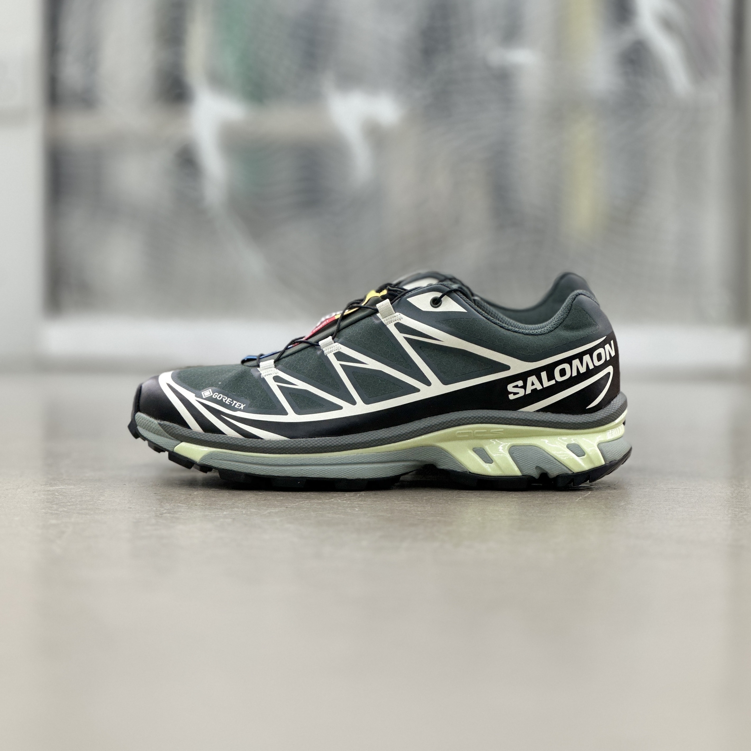 Salomon Advanced XT-6 GTX Urban Chic l 475813