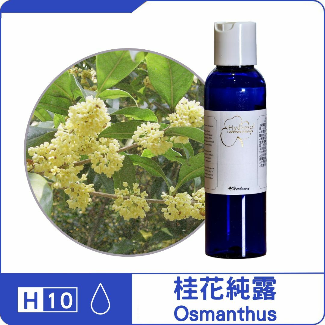 [清香版]中國特供秋桂桂花純露