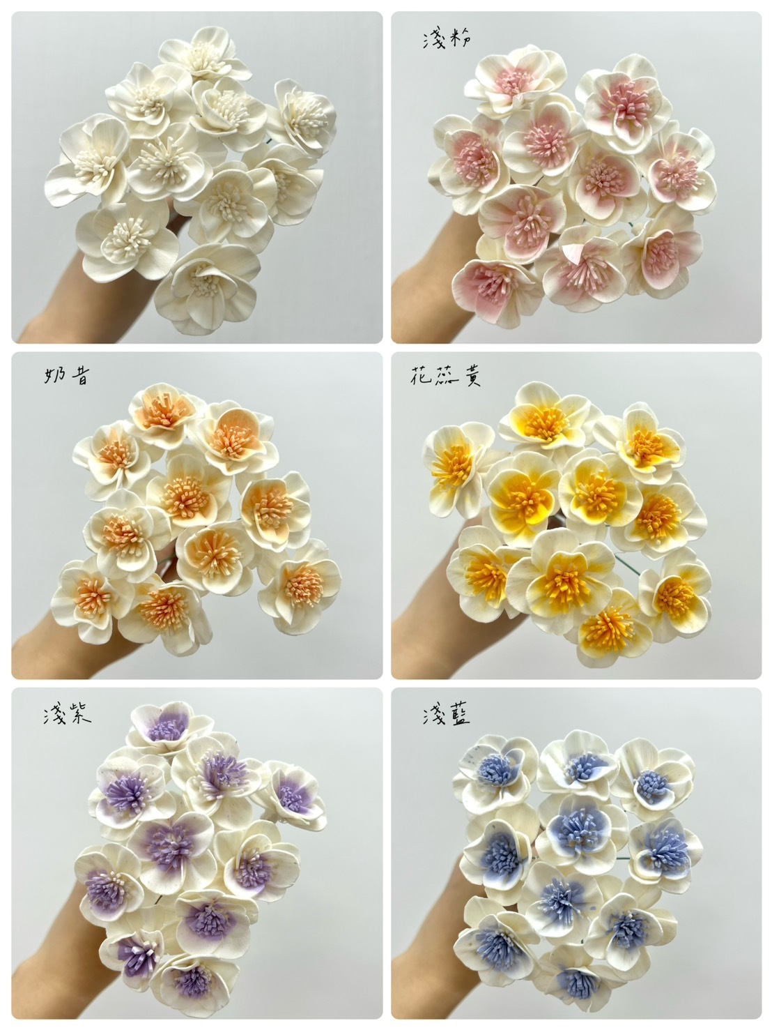 越南索拉花 白頭翁 3CM<十支一把>