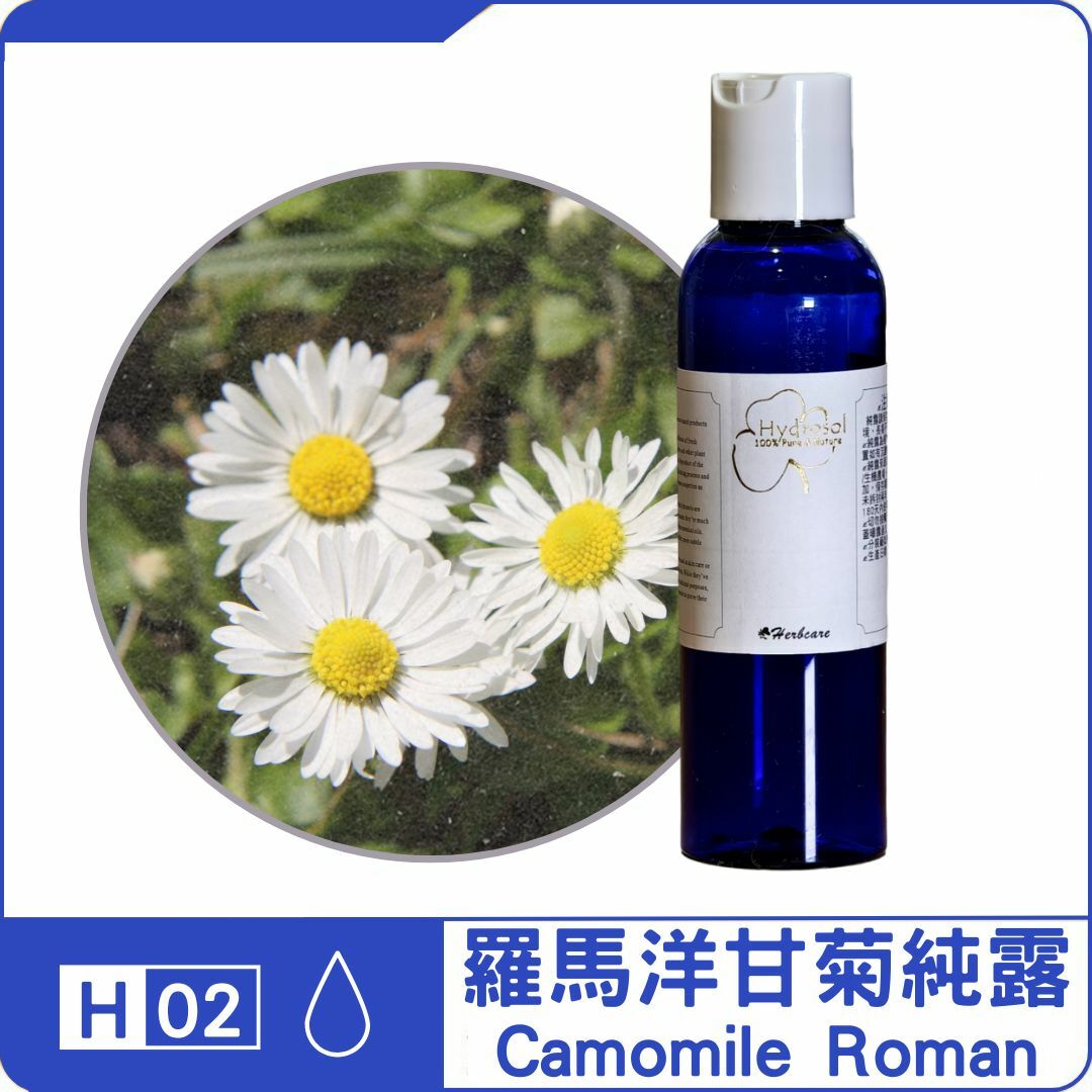 羅馬洋甘菊純露
