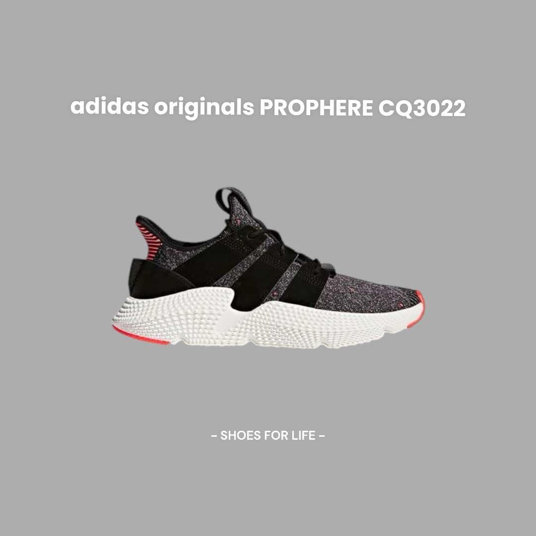 adidas originals prophere cq3022