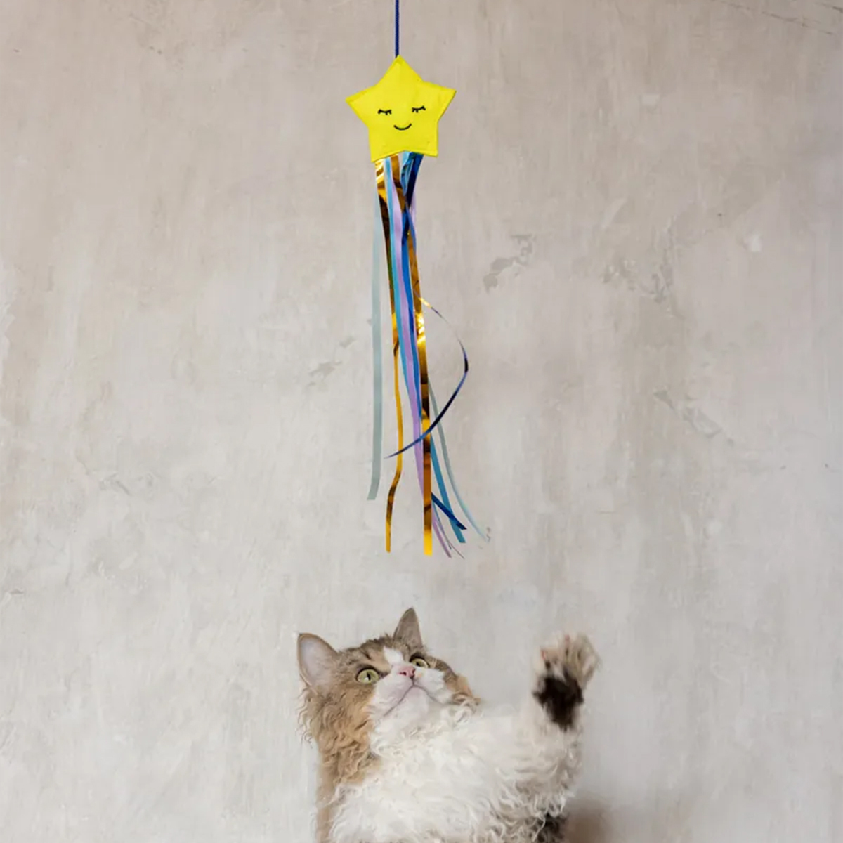 日本FAD｜星慌慌逗貓棒