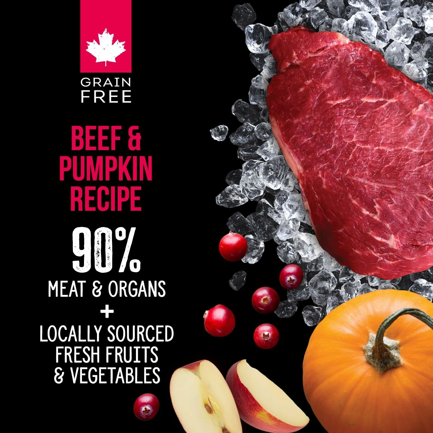 Nutrience Subzero Beef & Pumpkin Freeze Dried Raw dog food 369g