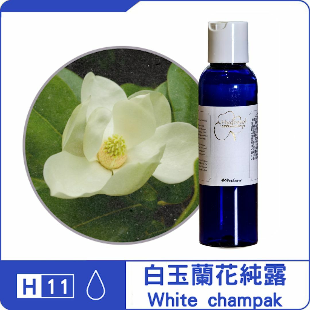白玉蘭花純露