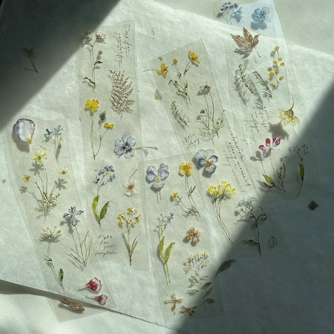 Pion PET Tape - Embossing