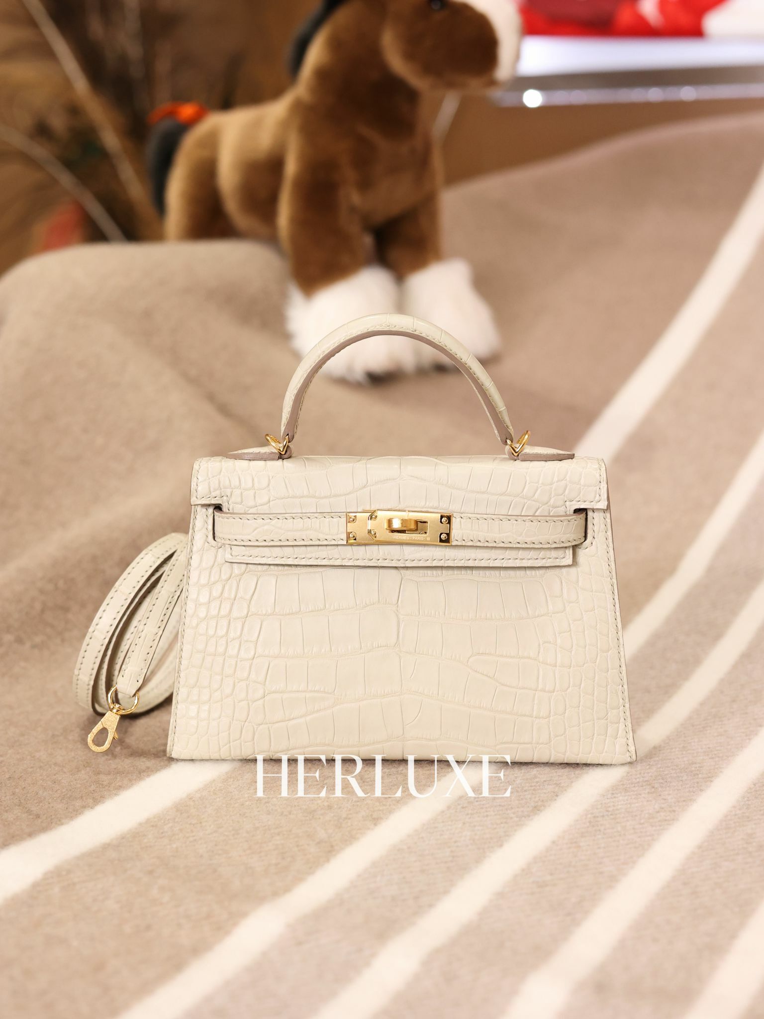 Kelly mini II 8L beton cc alligator mississippiensis U 閒置品