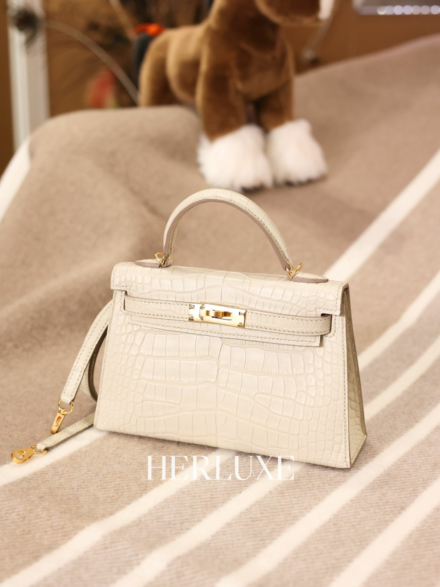 Kelly mini II 8L beton cc alligator mississippiensis U 閒置品