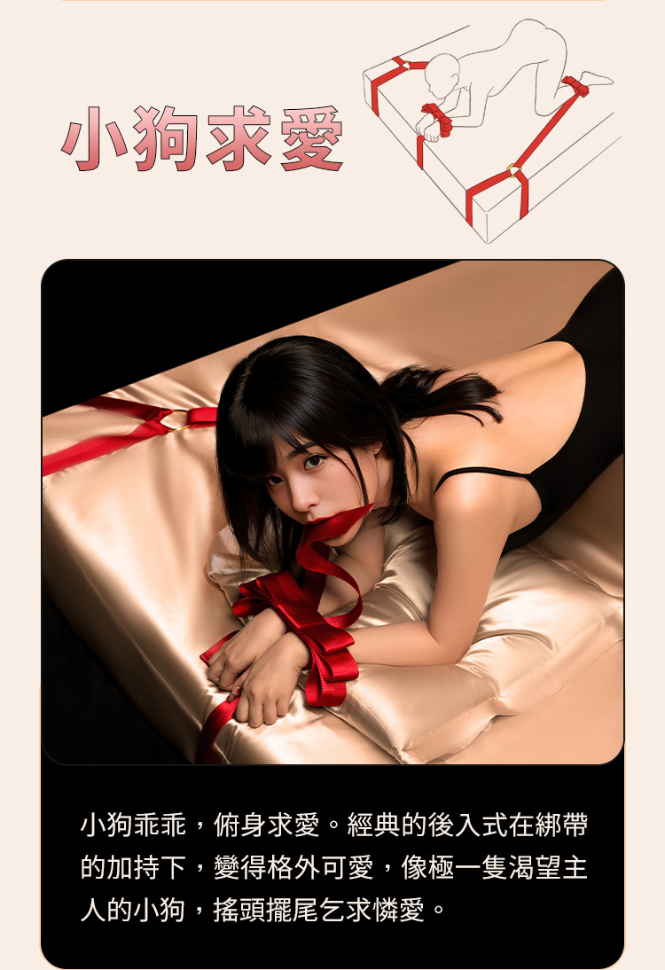 UPKO 蝴蝶結床綁帶套裝 bowknot bed restraint straps