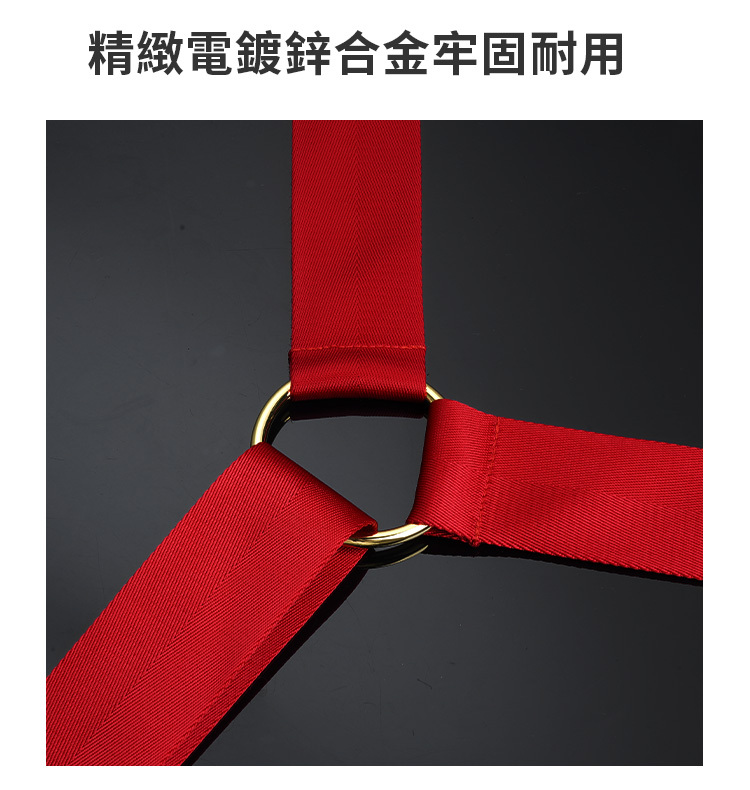 UPKO 蝴蝶結床綁帶套裝 bowknot bed restraint straps