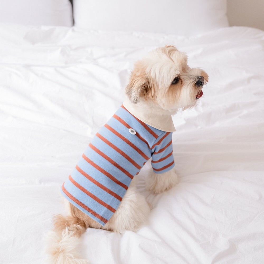 Noutti 天藍經典梅西條紋Polo 衫